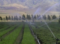 Sistema de Riego Impulsadora para el campo de Maíz en la provincia de Shandong